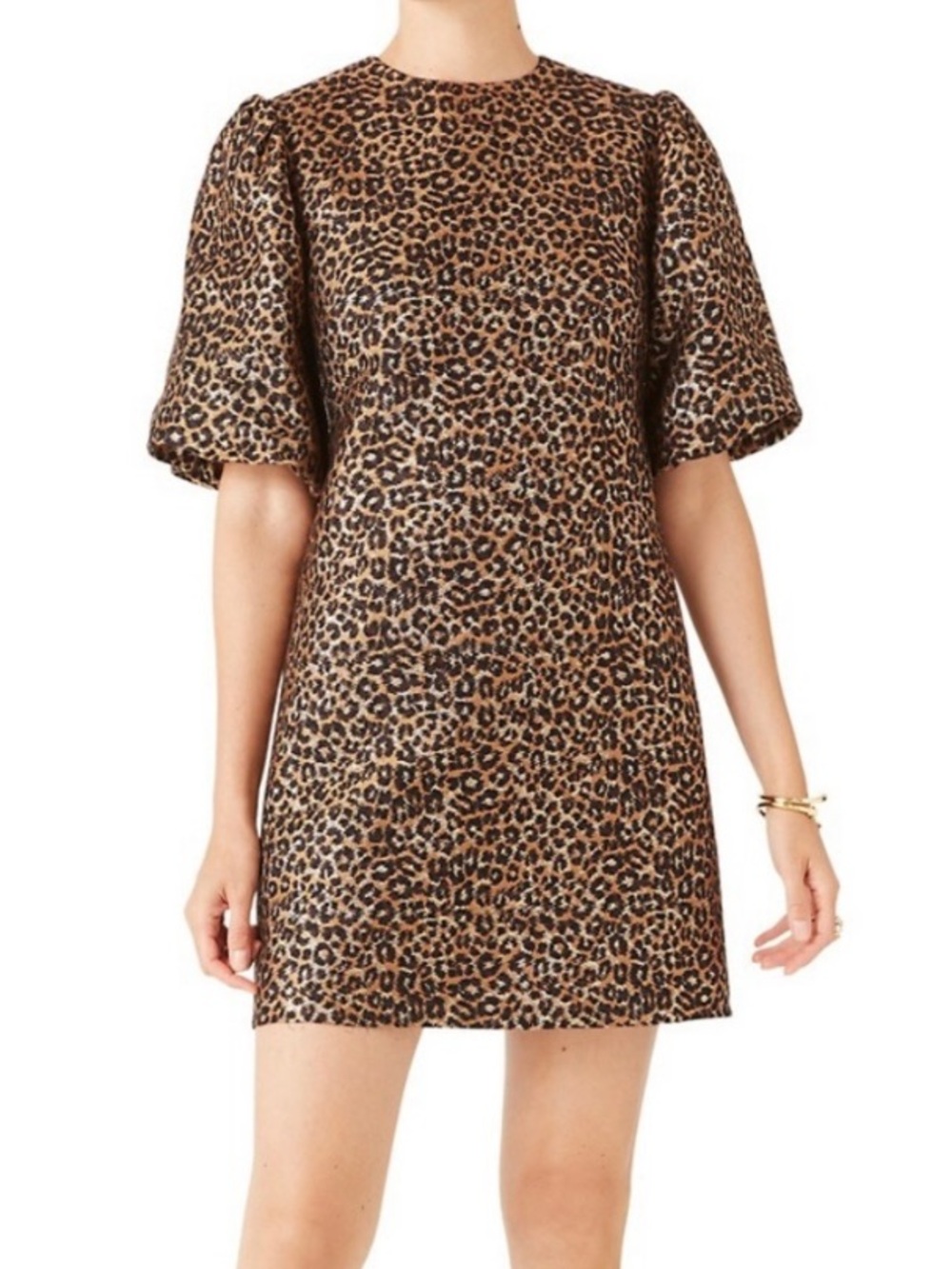 Kate Space Cheetah Dress